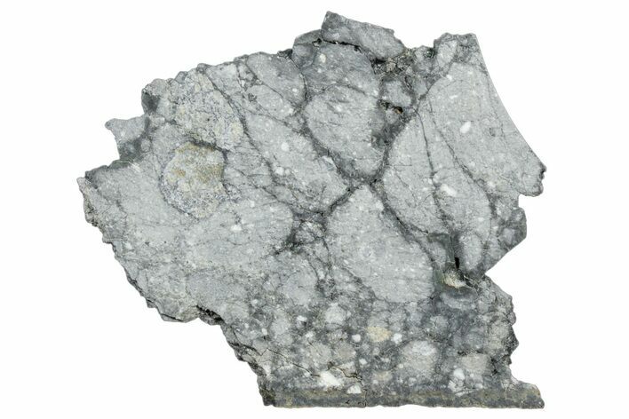 Gadamis Apollo Lunar Meteorite ( g) Slice #304313